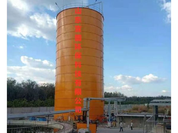 國際厭氧塔項目